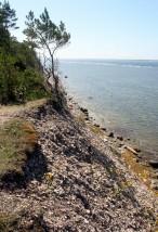 ACANTILADOS DE PANGA. ESTONIA.