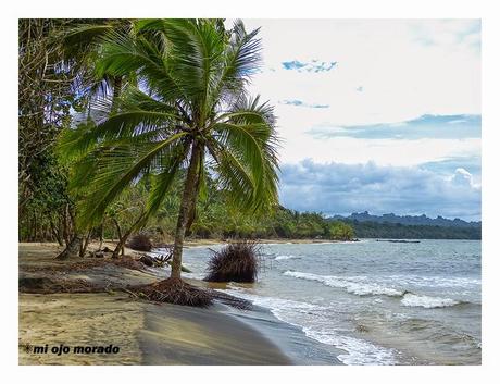 Costa Rica. El Caribe Sur