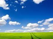 significado soñar campos verdes prados.