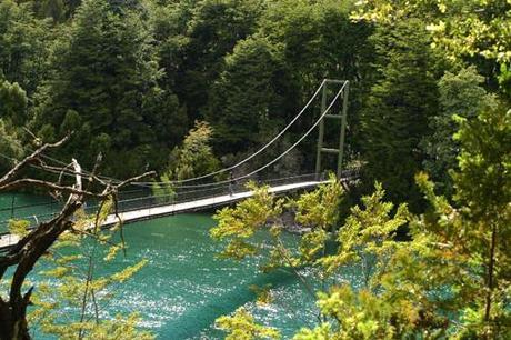 Trekking en el Parque Nacional Los Alerces.