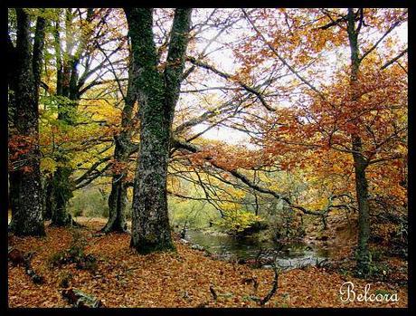 El boletín de la Mari: Ideas molonas de la semana - Bienvenido otoño...