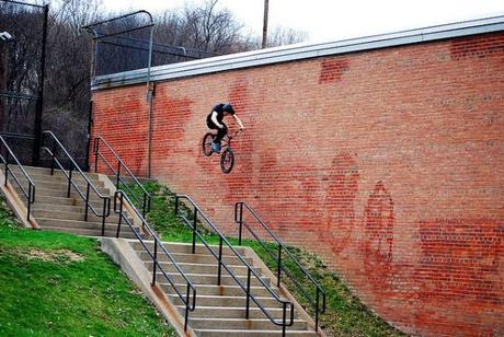 la intrepidez de la ignorancia