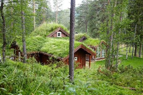 Casa de Techos Verdes en Noruega