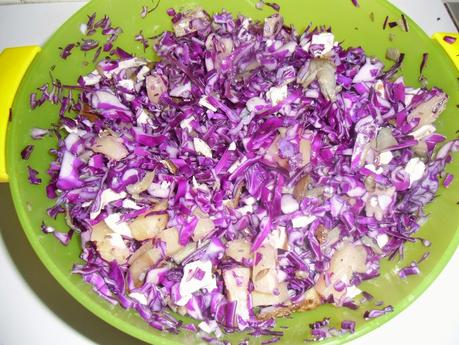 Ensalada de col lombarda