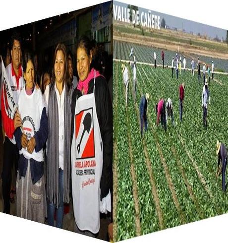 APOYO AL HOMBRE DEL CAMPO EN LA MIRA DE CARMELA APOLAYA…