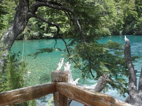 Trekking en el Parque Nacional Los Alerces.