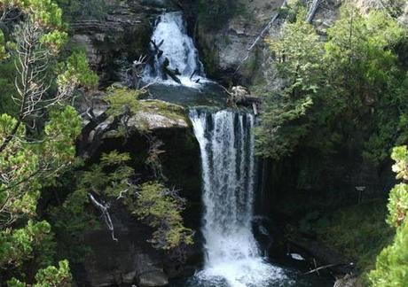 Trekking en el Parque Nacional Los Alerces.