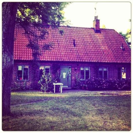 Expatriada en Suecia, cumplimos un año!