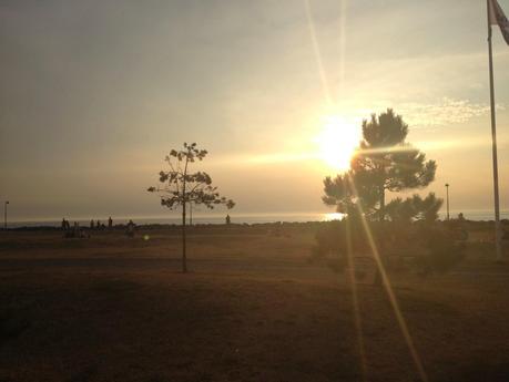 Expatriada en Suecia, cumplimos un año!