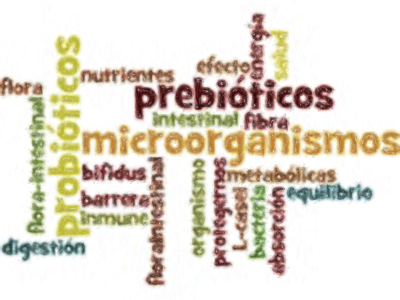 probioticos 