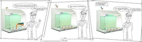 Pepe Resemey y las placas de LB