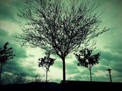 Androidografia Barakaldo CDLVI. Arbol