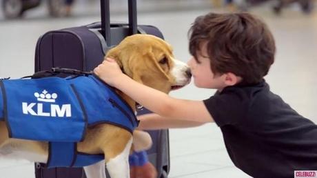 KLM contrata a un perro para la devolución de objetos perdidos.