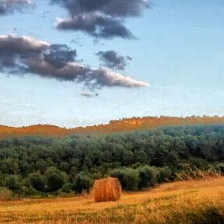 Un año instagramizando