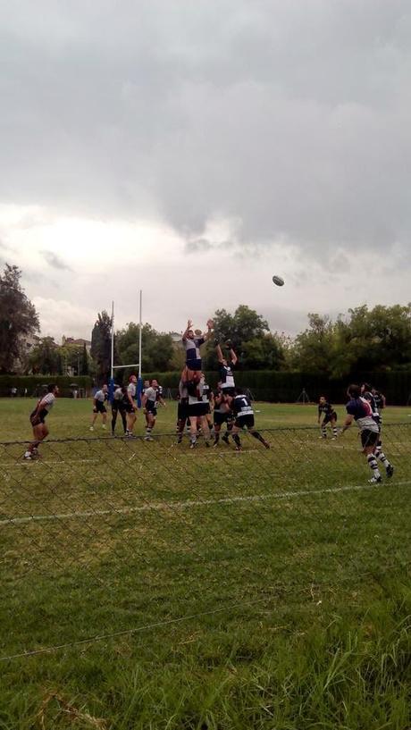 RESULTADOS DE HOY DÍA 28 EN LAS DIVISIONES DE HONOR