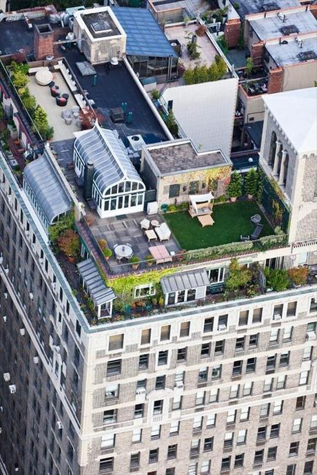 Rooftops! Rooftops - Azoteas