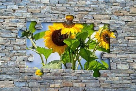 puzzle distinto Roles en Red: Liberemos al Talento del Puesto de Trabajo