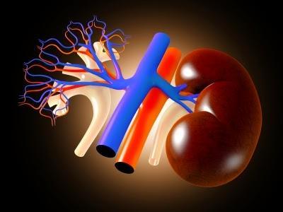 La vida después de donar... ¿se cuida SIEMPRE al donante?