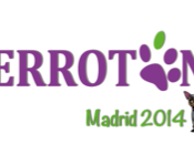 Perrotón Madrid 2014 #running perros solidaridad