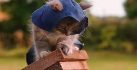 Assassin's Kittens Unity, la parodia con gatos de Assassin's Creed