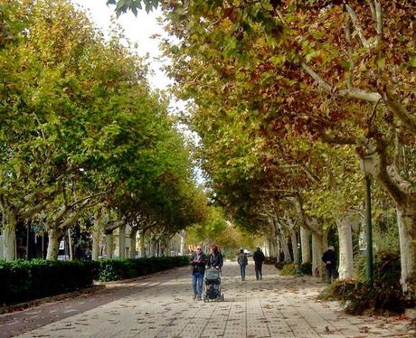 Otoño sin un adiós