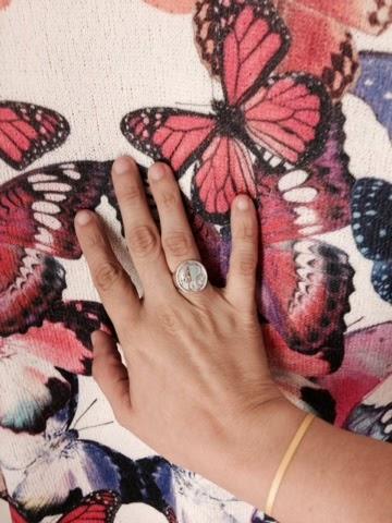 Mariposas en el Otoño