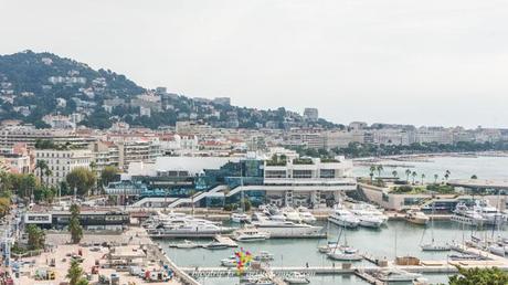 Palacio de festivales Cannes is yours