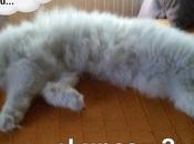 Estamos Agustito LXII. Lunes