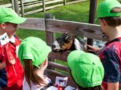 Beneficios acercar niños naturaleza