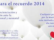 Globos para recuerdo 2014 Escuchar pérdida