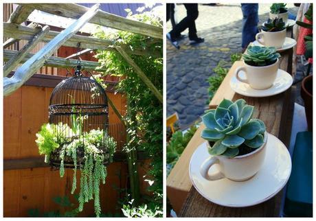 08-decorar-con-cactus-sitios-peculiares