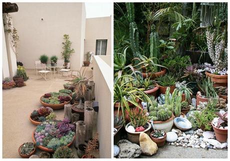 07-decorar-con-cactus-jardin