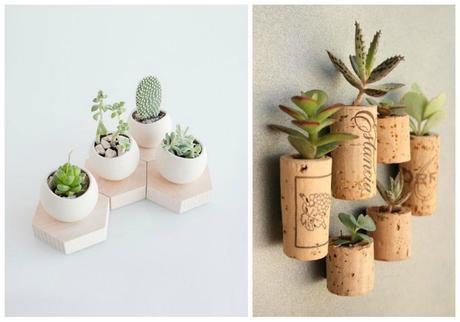 05-decorar-con-cactus-peques