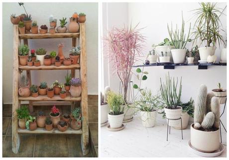 04-decorar-con-cactus-mogollon