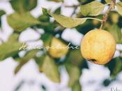 ¡Bienvenido octubre!