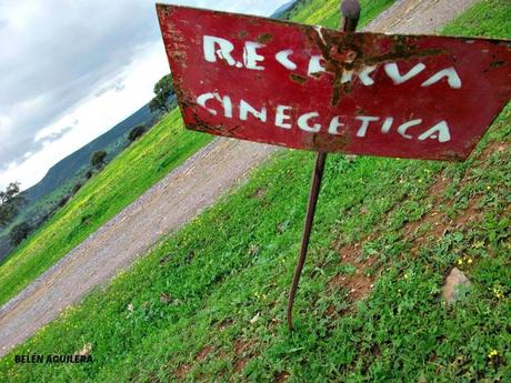 Castilseras abrirá el observatorio de aves antes de finalizar el año