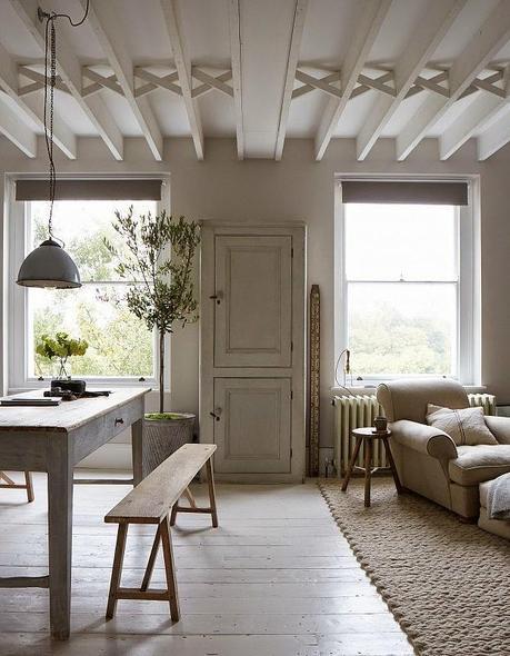 olivos para interior decoración quiero un olivito