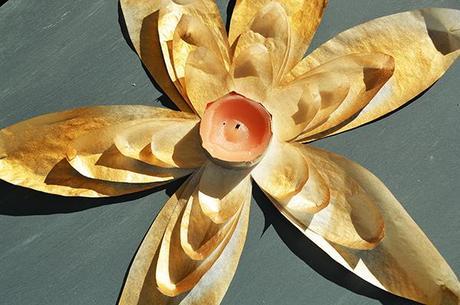 Flores de loto con el papel del horno