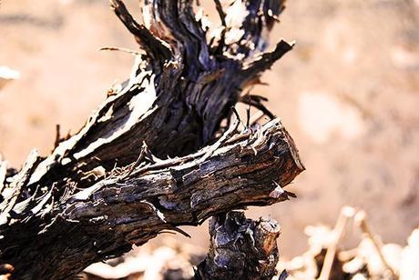 Carpintería Carpintería