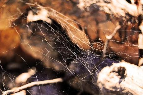 Carpintería Carpintería