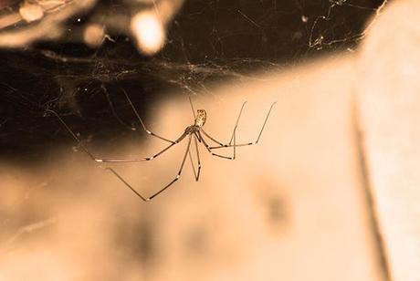 Carpintería Carpintería