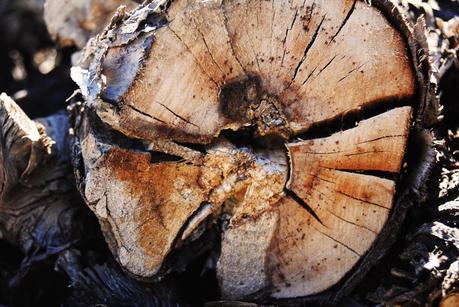 Carpintería Carpintería