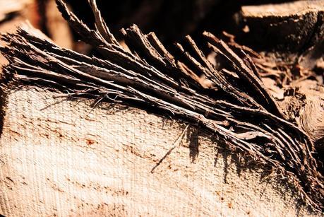 Carpintería Carpintería