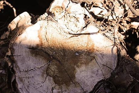 Carpintería Carpintería