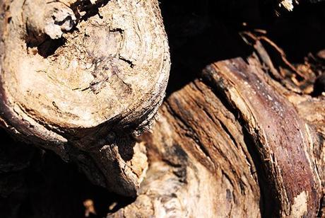 Carpintería Carpintería