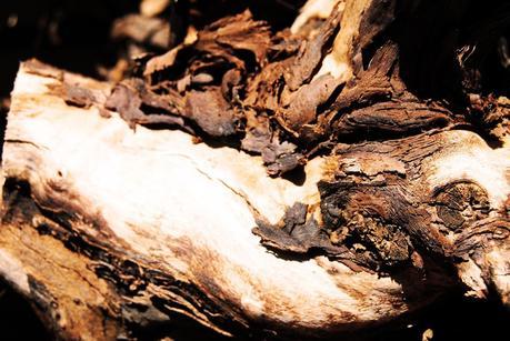 Carpintería Carpintería