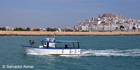 Descubriendo Peñíscola por tierra, mar y aire Descubriendo Peñíscola por tierra, mar y aire