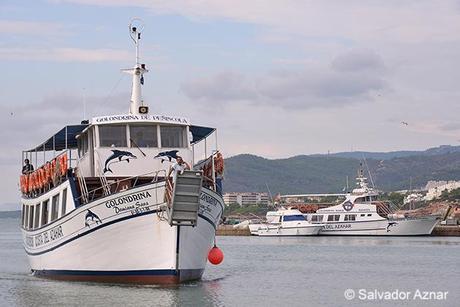Descubriendo Peñíscola por tierra, mar y aire Descubriendo Peñíscola por tierra, mar y aire