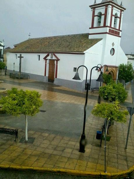 Martes Parlanchín #16