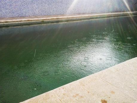 Martes Parlanchín #16